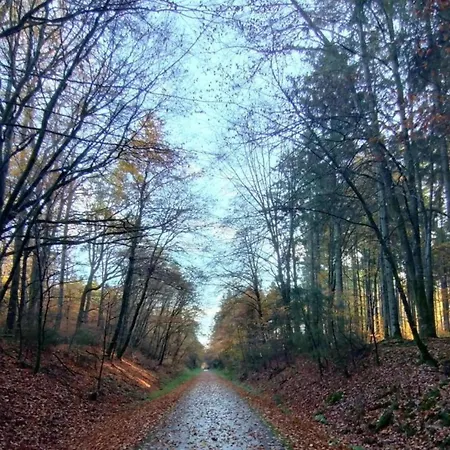 Romantic Eifel Hideaway Immerath
