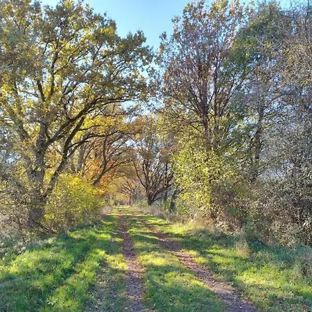 In Near Hiking Trails * Immerath