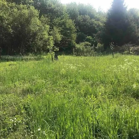 In Near Hiking Trails 公寓 *