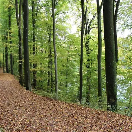 公寓 In Near Hiking Trails Immerath